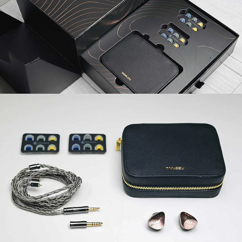 TANGZU XuanWu Gate イヤホンモニター IE - Earplug Set Foam のレビューと価格